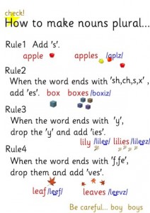 plural1